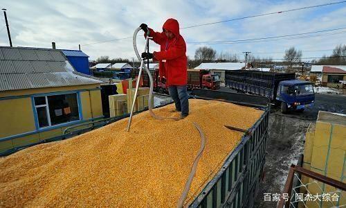 為什么糧食遲遲不漲價(jià)?到底是什么原因?qū)е碌?看完后心里有數(shù)了